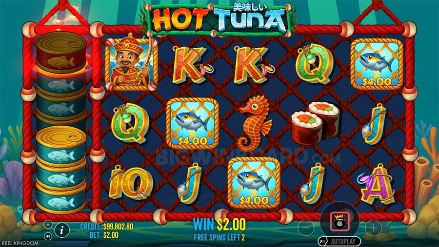 Video Poker Machine Screen
